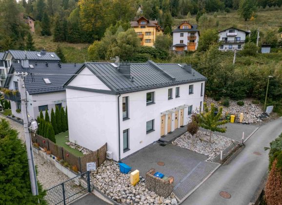 Kasztanowy